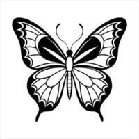 A butterfly with symmetrical, detailed wings on white background vector