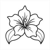 isolated single pretty alcatraz flower blossom colorless black and white contour line drawing vector