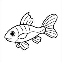 Albino Corydoras cartoon with a white background vector