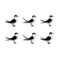 High-Quality Tern Graphic Design File for Creative Projects vector