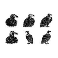 Vulture Graphic Design File for Digital Use vector