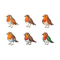 High-Quality Robin Graphic Design for Creative Projects vector
