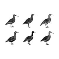 Woodcock Graphic Design File for Digital Use vector