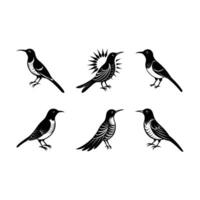 Download Stunning Sunbird Graphics for Creative Projects vector