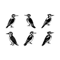 Woodpecker Graphic Design File - High Quality Digital Artwork for Commercial Use vector