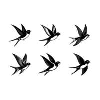 Swallow Graphics - Stunning Bird Design for Digital Projects vector