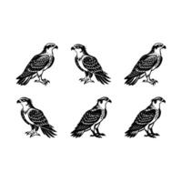 Osprey Graphic Design File for Commercial Use vector