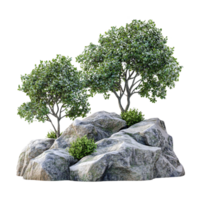 Trees on Rocky Terrain with Green Foliage png