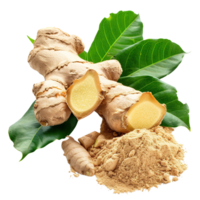 ginger and ginger powder isolated on transparent background png