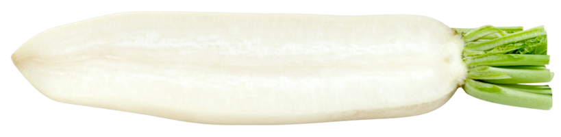 sliced Radish isolated png