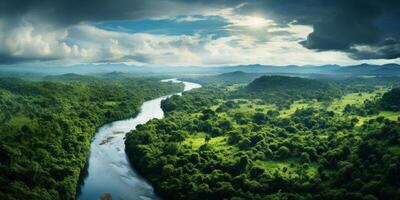 Stunning aerial view of lush green rainforest landscape with winding river photo