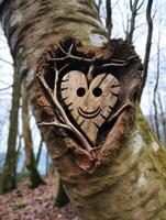 Smiling wooden face carved into tree trunk photo