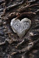 Intricate heart shaped pattern carved into weathered tree bark photo