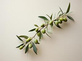 fresh green olives on branch photo