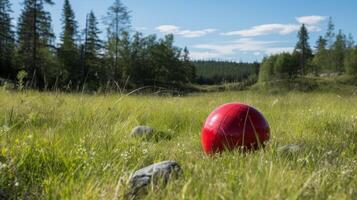 Red ball in grassy field with forest in background photo