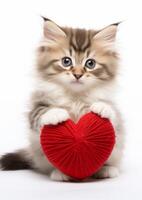 Adorable kitten holding a red heart shaped pillow photo