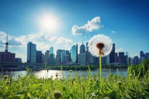 Dandelion in urban park with city skyline photo