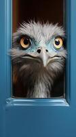 Intense eyes of a wild bird peeking through a blue window frame photo