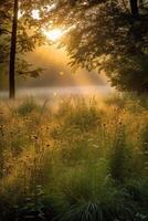 Serene autumn forest landscape with sunlight streaming through the trees photo