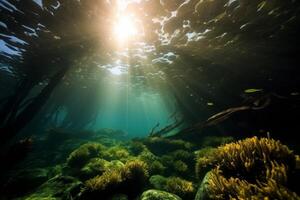 Underwater scene with sunlight shining through the water photo