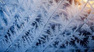 Intricate frost patterns on a window photo