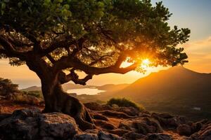 Stunning sunset over mountain landscape with silhouetted tree photo