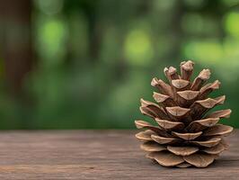 Single pine cone on wooden surface with blurred green background photo