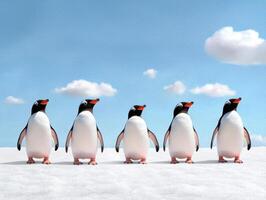 Four penguins standing in a row on a snowy landscape under a bright blue sky photo