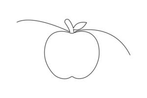 Apple continuous one line hand drawn to outline art design vector