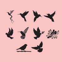 Silhouettes of different bird species that showcase their unique shapes and movements vector