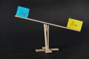 concept of duality using sticky notes with the antonym words Hoax - Fact made by hand on a dark background photo