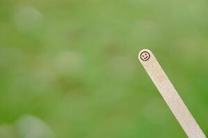 close up of smiling emoji on a popsicle stick as a concept of the spirit of life photo