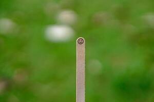 close up of smiling emoji on a popsicle stick as a concept of the spirit of life photo