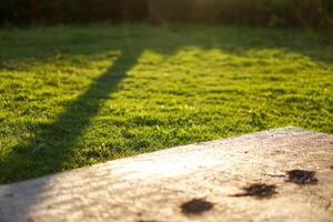 A beautiful courtyard with green grass and shadows of trees in the afternoon. Bokeh effect for the background photo