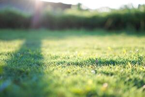 A beautiful courtyard with green grass and shadows of trees in the afternoon. Bokeh effect for the background photo