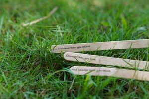 close up of the message on the ice cream stick on the grass as a concept of the spirit of life photo