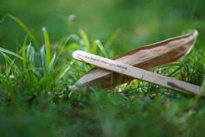 close up of the message on the ice cream stick on the grass as a concept of the spirit of life photo