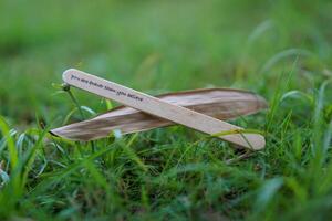 close up of the message on the ice cream stick on the grass as a concept of the spirit of life photo