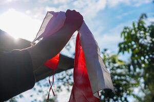 A hand holds the Indonesian flag against the bright sunlight, symbolizing pride and patriotism, with a clear blue sky and lush greenery in the background. photo