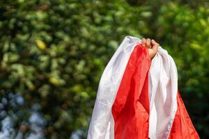A hand holding the Indonesian flag high, symbolizing patriotism and national pride, with a lush green background creating a vibrant contrast. photo