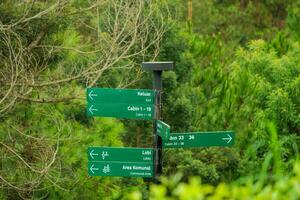 Signpost directing to various locations in a scenic green environment. photo