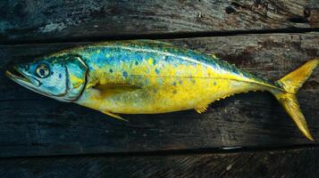 Stunning Colorful Fish on Rustic Wooden Surface photo