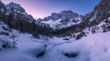 Winter Mountain Majesty. Snowy Peaks and Frozen Trails photo