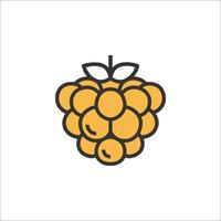 Raspberry pi logo, icon, illustration vector