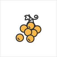 A bunch of grapes on a branch icon vector