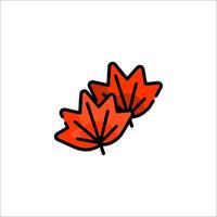 Two maple leaves on a white background vector