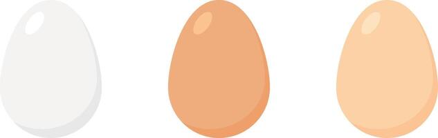 Set of chicken eggs in white, brown and light brown colors. vector