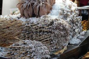grilled squid stall on street food vendor, with pile of fresh squids on ice on the side photo
