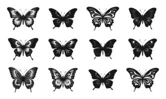 Set of contours of butterflies with monarch wings isolated on a white background. Silhouette of butterfly vector