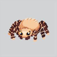 Pixel art illustration Spider. Pixelated Tarantula. Spider Tarantula Insect Icon pixelated for the pixel art game and icon for website and game. old school retro. vector